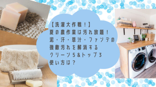 洗濯大作戦 夏の農作業は汚れ放題 泥 汗 草汁 ファンデの強敵汚れを解消するクリーン５ トップ３ 使い方は ハミングコアラ