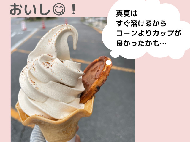 味噌ソフトクリームの写真