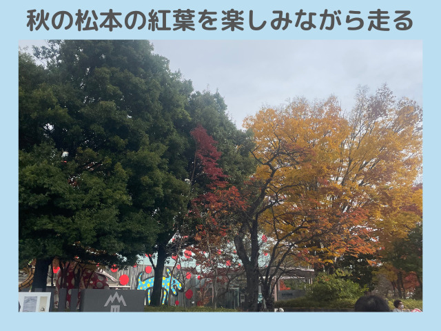 松本マラソン沿道の紅葉の写真